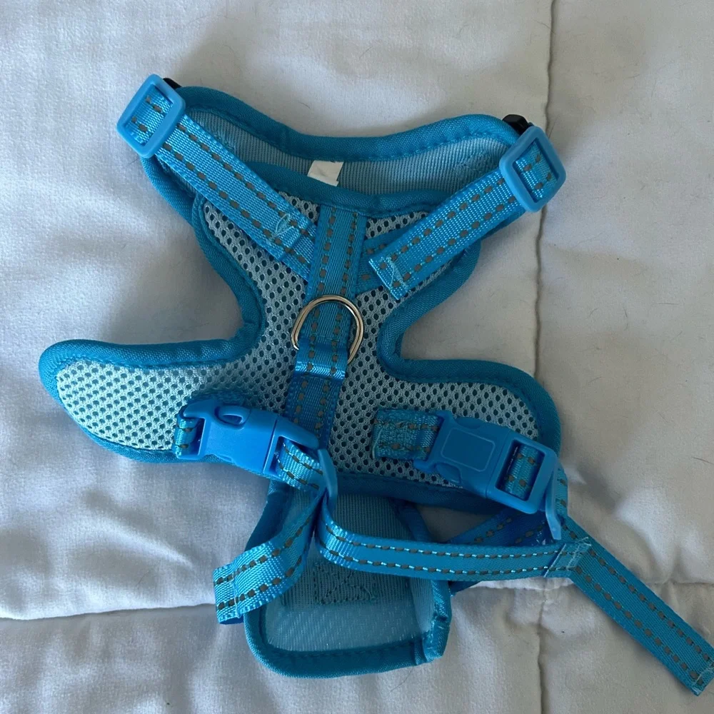 NWOT Cat Harness and Leash